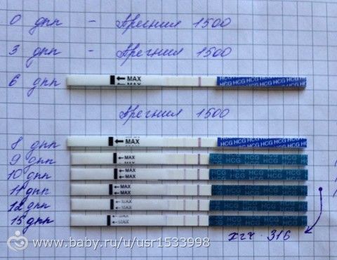 Тест беременность после прегнила Тест беременность после прегнила