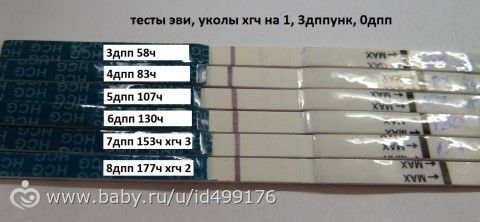 Тесты на беременность после хгч Тесты на беременность после хгч