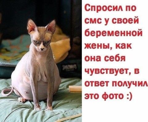 Как чувствуют себя беременные