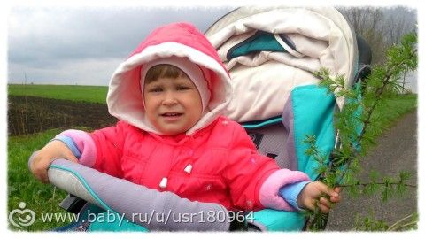 Чем отстирать одуванчики с куртки в домашних условиях Чем отстирать одуванчики с куртки в домашних условиях
