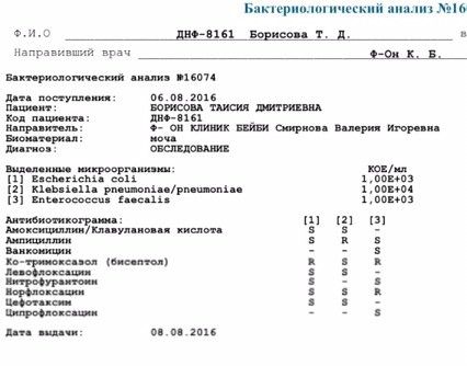 Цветок орхидея фаленопсис микс все о нем Цветок орхидея фаленопсис микс все о нем