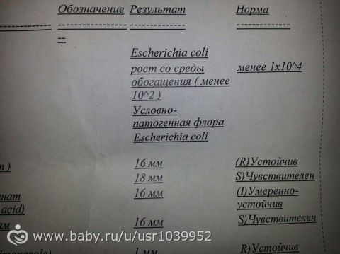 Урожайный огород ютуб татьяна огурец Урожайный огород ютуб татьяна огурец
