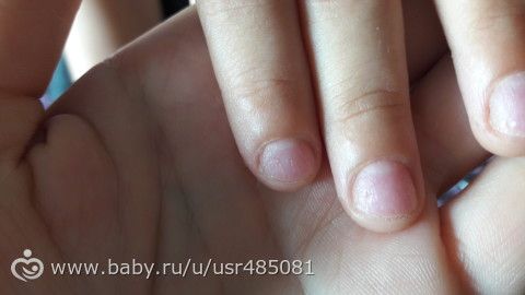 Актрисы голливуда с короткими стрижками Актрисы голливуда с короткими стрижками