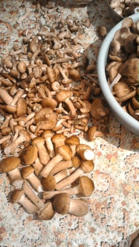 Если снятся пауки по телу Если снятся пауки по телу