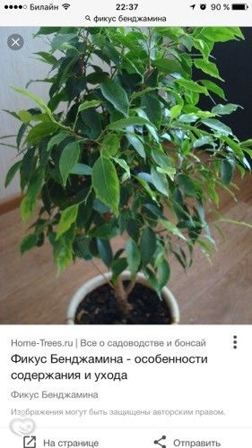Простые и необычные выкройки модной одежды Вторая Улица Простые выкройки стильной одежды (трафик) - Вторая улица