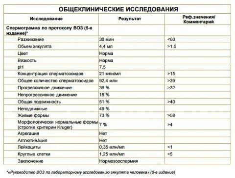 norma-v-spermogramme norma-v-spermogramme