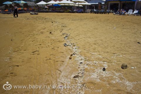 Шри-Ланка апрель 2016, с ребенком 3 года. Часть 2