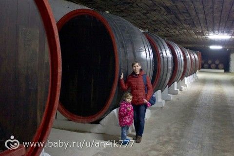 Молдавия, 4 дня, март 2016