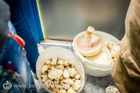 отпуск в Севастополе 2015. часть 7я. экскурсионная