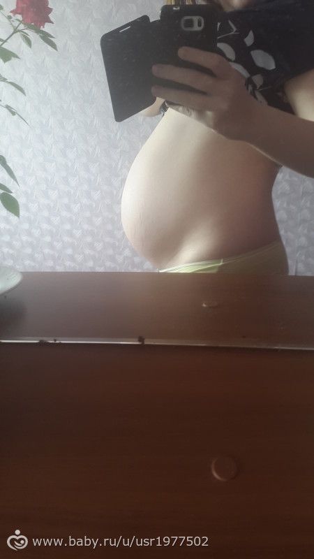 Фотопуз 33-34 недельки