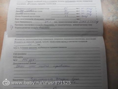 Третье плановое узи