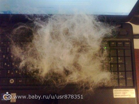 Фурминатор,для всех у кого есть пушистые друзья.