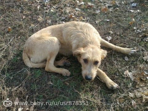 Сделали большое дело!
