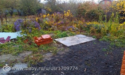 первое лето в Краснодаре
