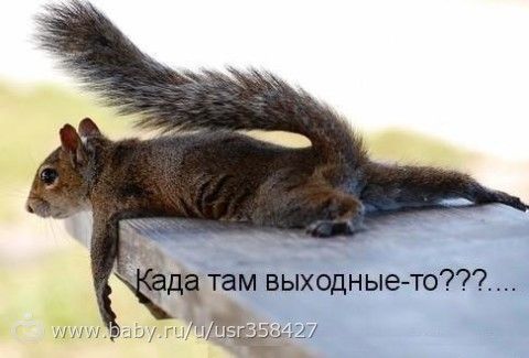 mini-марафон 2.0 День 16 Расчет КЖБУ - формула