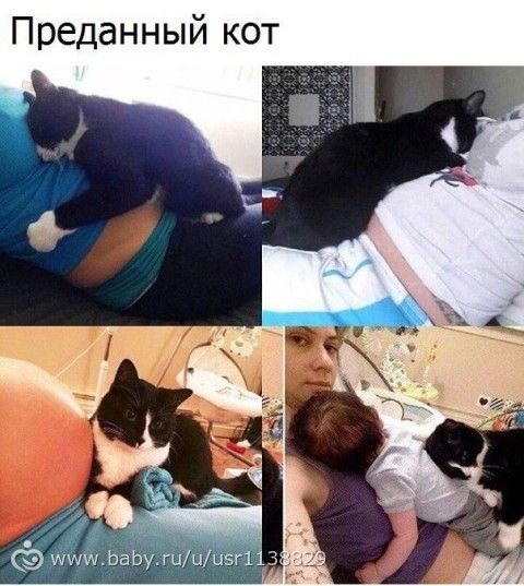 Не много юмора)