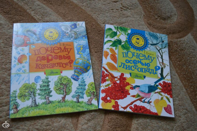 Книжное пополнение ноябрь.