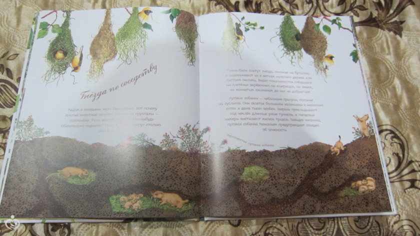 2-9 cентября 2016 г/ новые книги