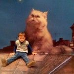 Наши новости)