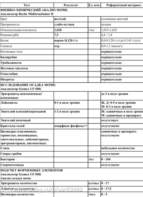 Помогите расшифровать анализ !