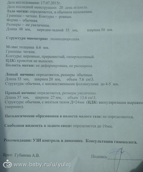 узи с допплером при планировании