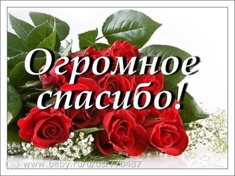 отчет по сбору средств Мармаш Максим