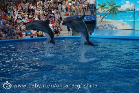 Наш солнечный отпуск. Адлер 2016 г.