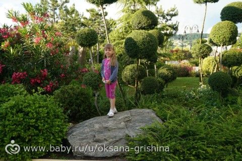 Наш солнечный отпуск. Адлер 2016 г.