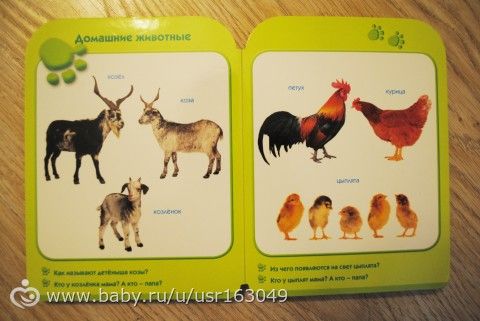 Наши книжки от рождения до полутора лет