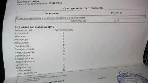Бак посев мочи при беременности: расшифровка, как собирать 34 Бак посев мочи при беременности: расшифровка, как собирать 31