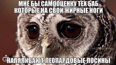 ЖИРОТОП! Спорим, Вы каждый день заходите, чтобы мой пост прочитать?)))