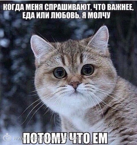 ЖИРОТОП! Худеем к лету! Февраль подходит к концу...