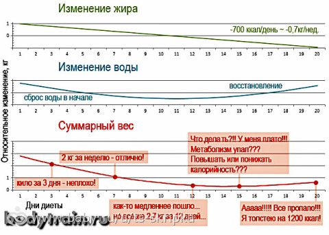 Субботний ЖИРОТОП! ПЛАТО и полезная статья!
