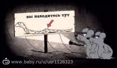 Как начать мыслить позитивно. Шаг № Один. Восстание из пепла.