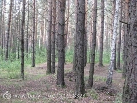 Буйство красок и пьянство лета…