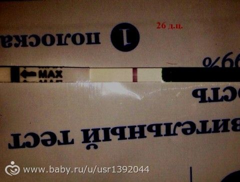 Перестала окончательно понимать организм