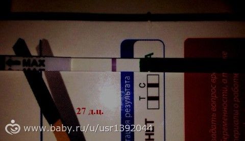 Перестала окончательно понимать организм