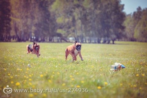 Моя красотка на курсинге