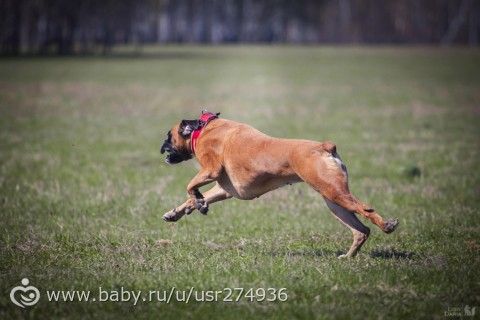Моя красотка на курсинге