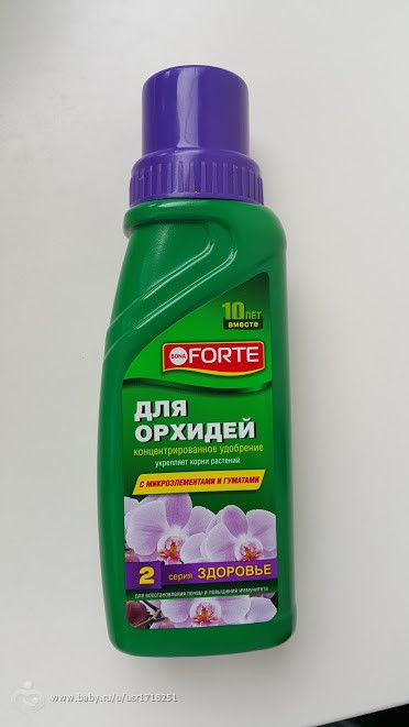 Орхидея #1.