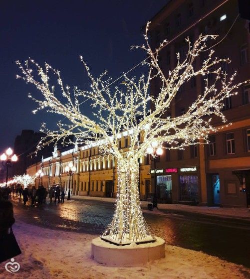 Новости и фото новогодней Москвы