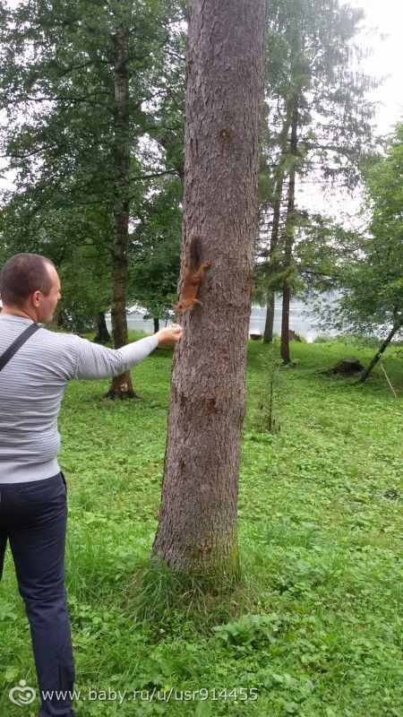 Я вернулась! Обширный отпуск)) !!Много текста и фото!!