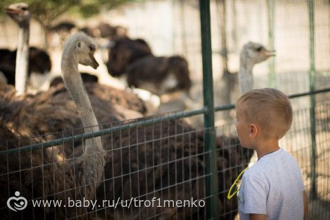 Греция с 3 детьми. Фото)))