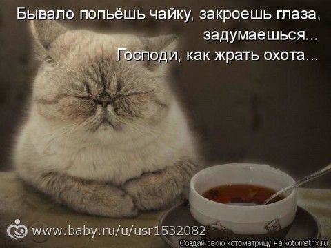 Как есть и худеть?