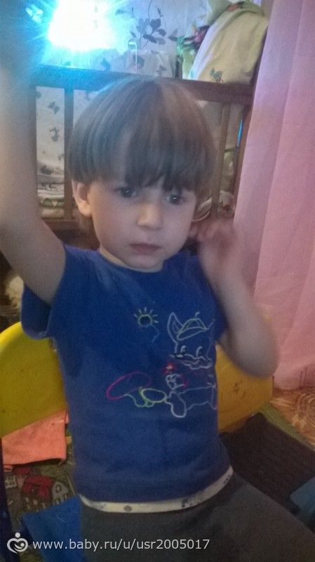 гены