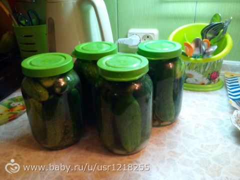 Соление огурцов (рецепт)