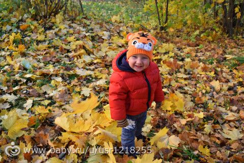 Осенняя сказка (день 2)