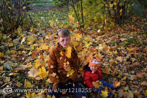 Осенняя сказка (день 2)