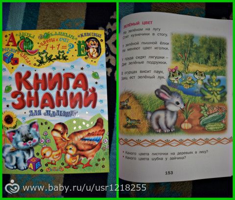 Февральская радуга - зелёный цвет идеи для игр