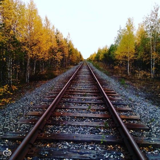 Немного нас. Немного фото. Житуха на севере